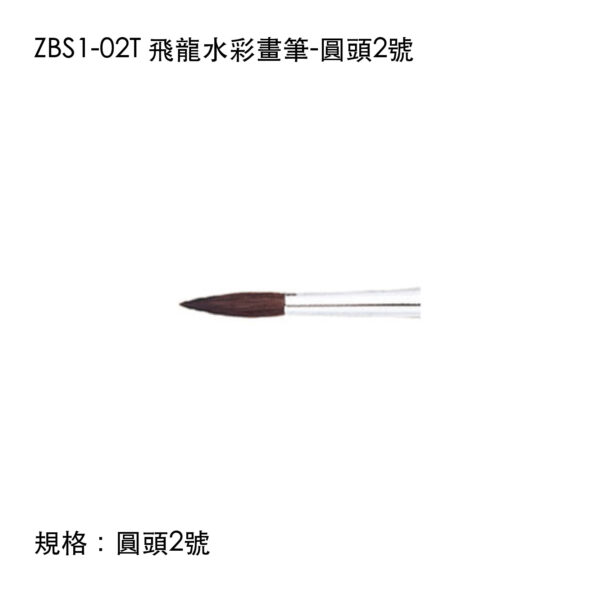 ZBS1-02T 飛龍水彩畫筆-圓頭2號