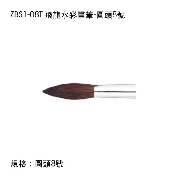 ZBS1-08T 飛龍水彩畫筆-圓頭8號