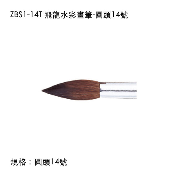 ZBS1-14T 飛龍水彩畫筆-圓頭14號