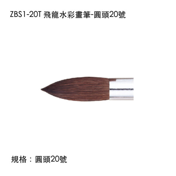 ZBS1-20T 飛龍水彩畫筆-圓頭20號